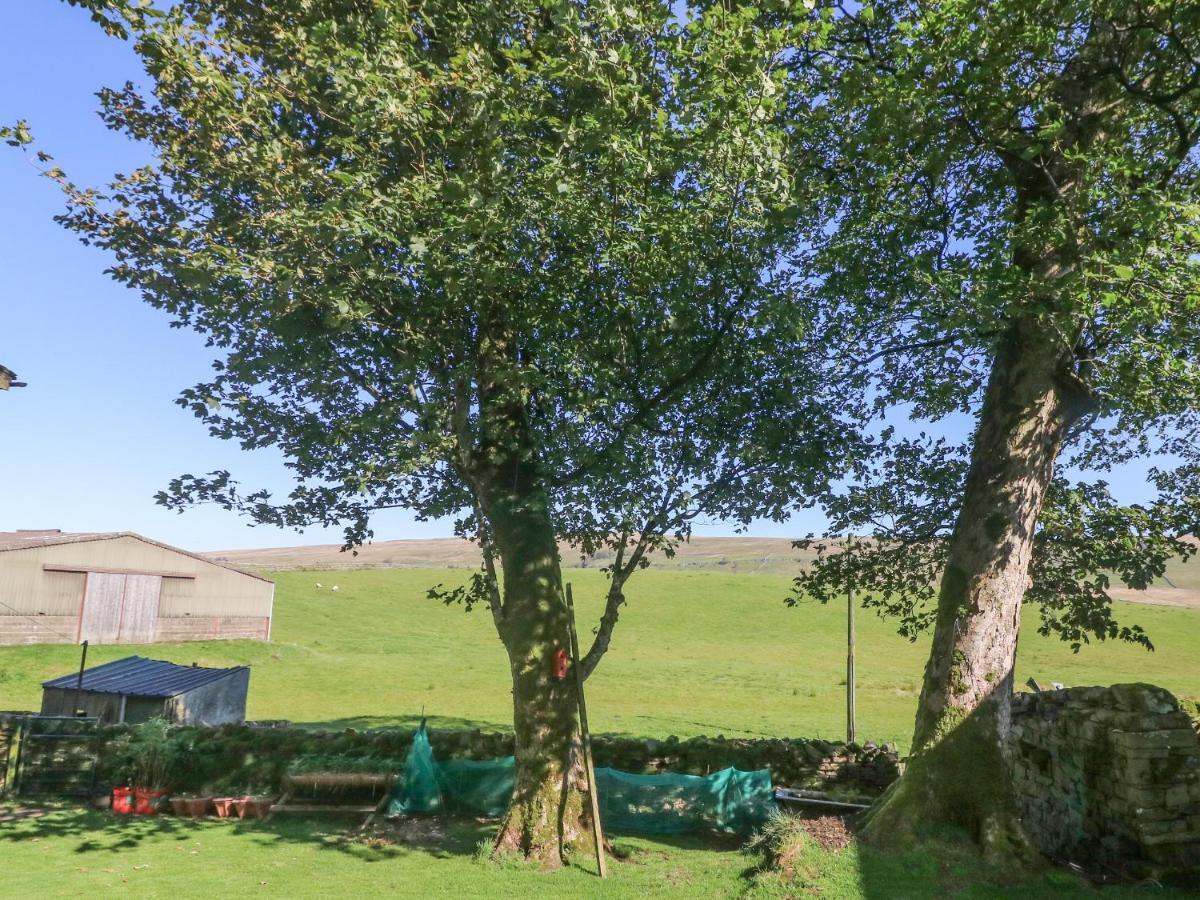 Sycamore Cottage Cotterdale المظهر الخارجي الصورة